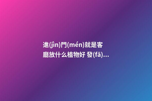 進(jìn)門(mén)就是客廳放什么植物好 發(fā)財(cái)樹(shù)金玉滿(mǎn)堂